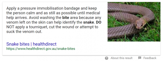 what to do if you get a snake bite