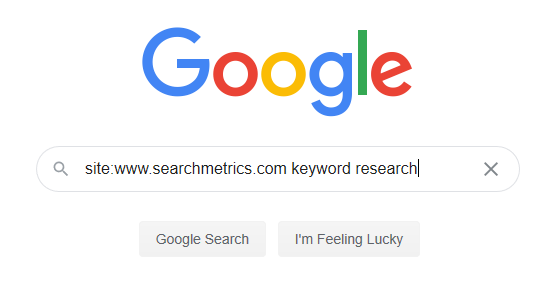 site search google